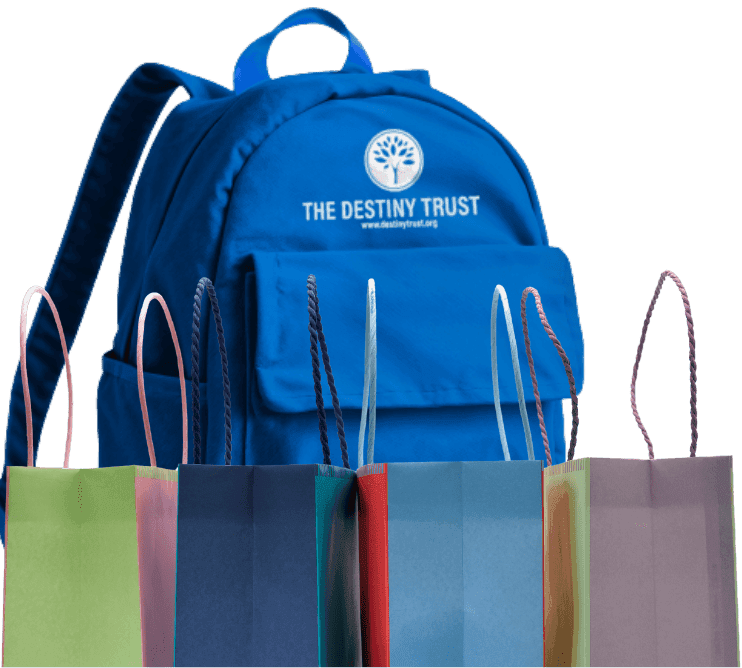 The destiny trust bag